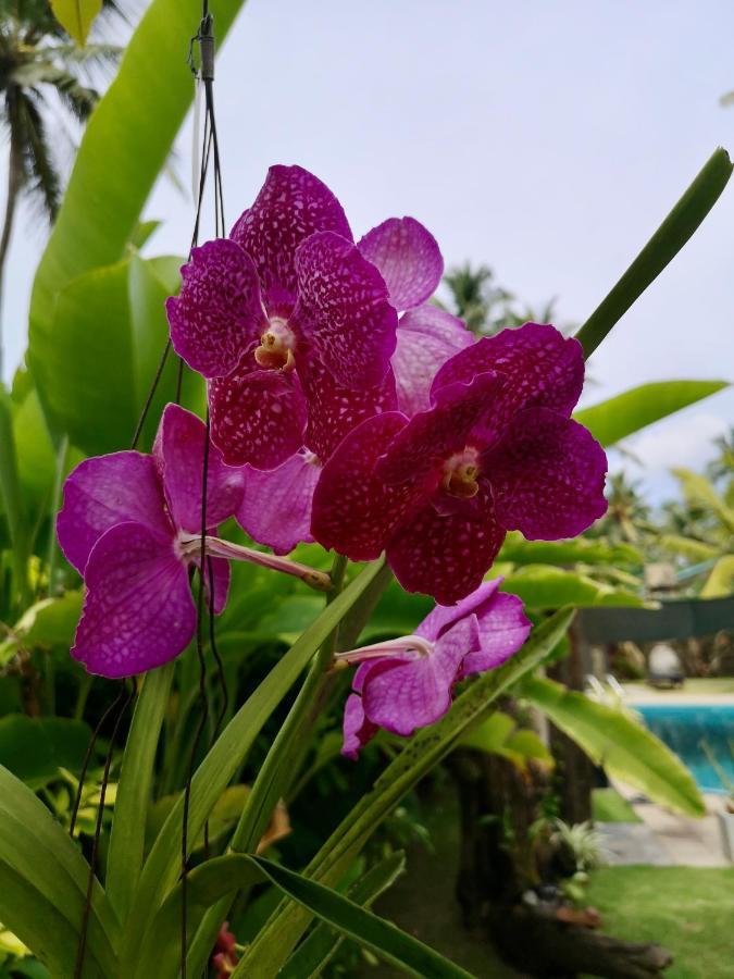 Thoduwawa Beach Villa Paiyagala Ngoại thất bức ảnh